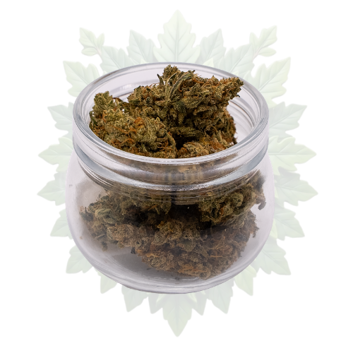 Amnesia Haze