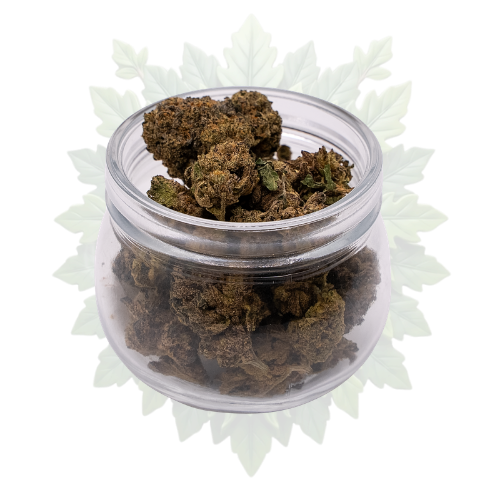 Jet Fuel Gelato