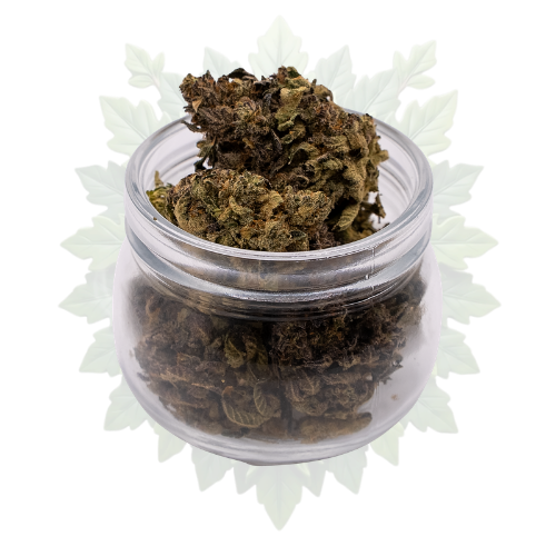 Kush Mintz