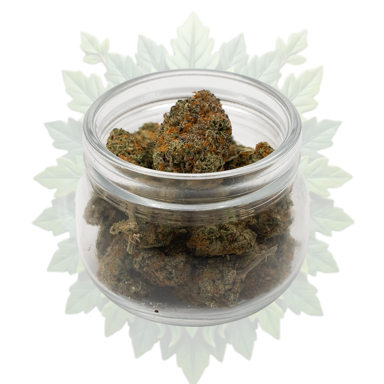 OG Kush