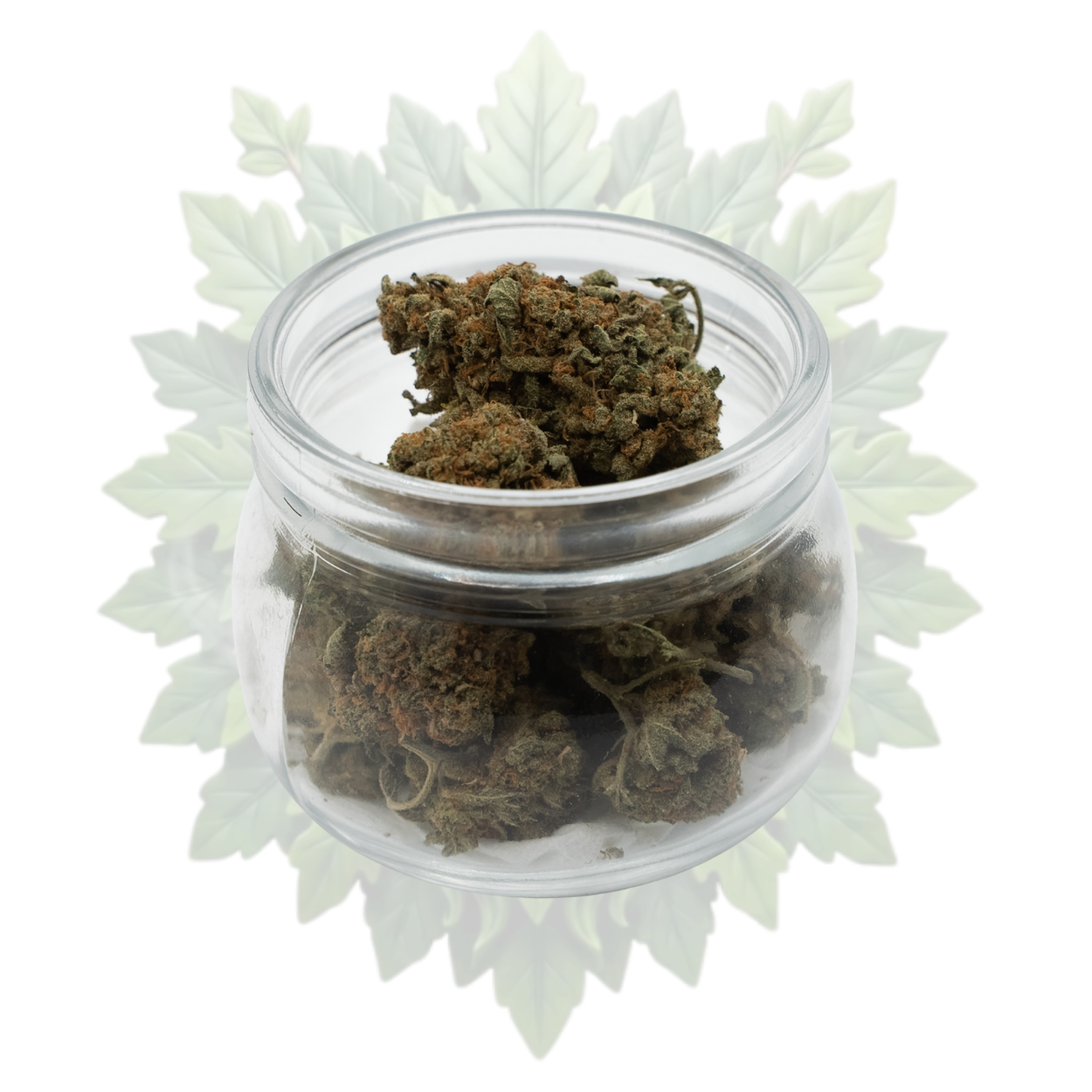 Stardawg
